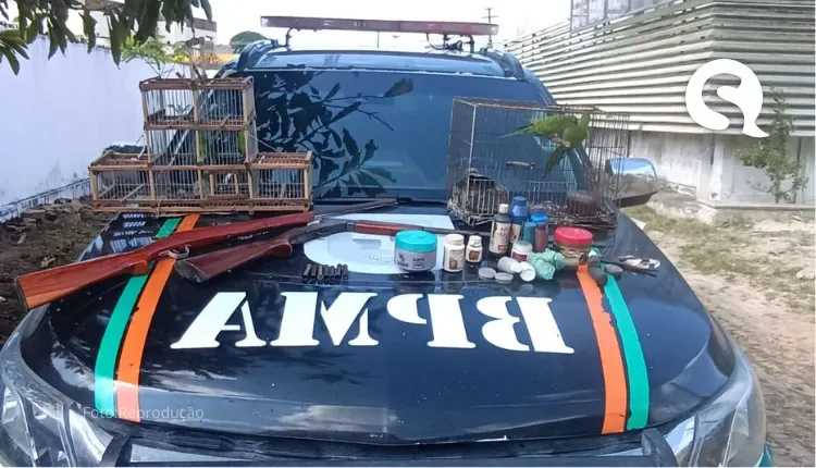 Polícia Militar apreende duas espingardas e resgata quatro pássaros silvestres em Reriutaba