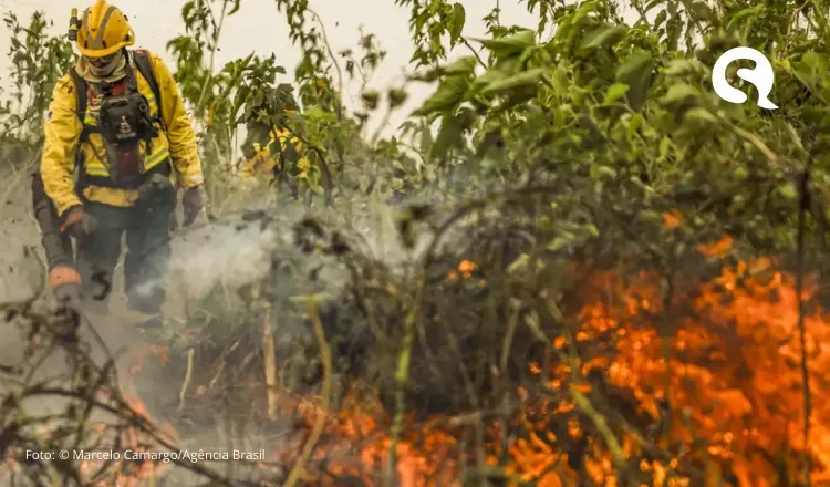Brasil já registrou mais de 154 mil focos de calor este ano