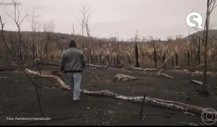 Queimadas e seca: Brasil pode perder o Pantanal até o fim do século se tendências não forem revertidas, diz Marina Silva