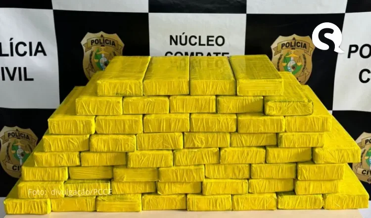 Mais de 50 kg de cocaína são encontrados em painel de caminhão-cegonha em Juazeiro