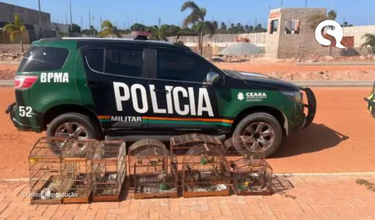 Concurso do Ibama terá 460 vagas com salários de R$ 9,9 mil
