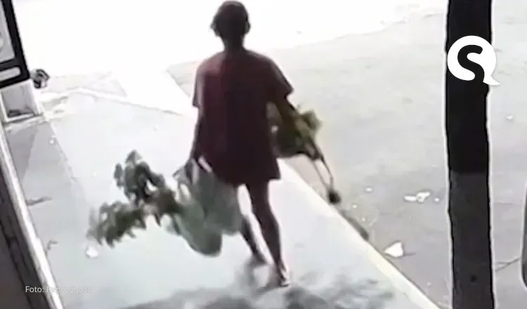 Mulher é flagrada por câmera furtando plantas em Sobral
