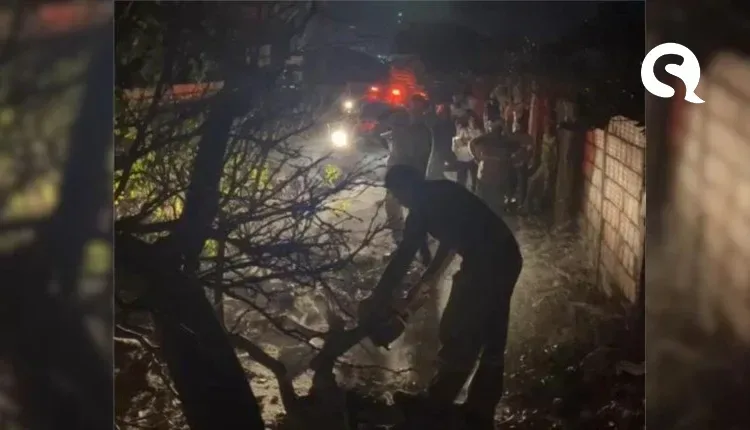 Moradores de Itapipoca ficam sem energia elétrica após queda de árvore