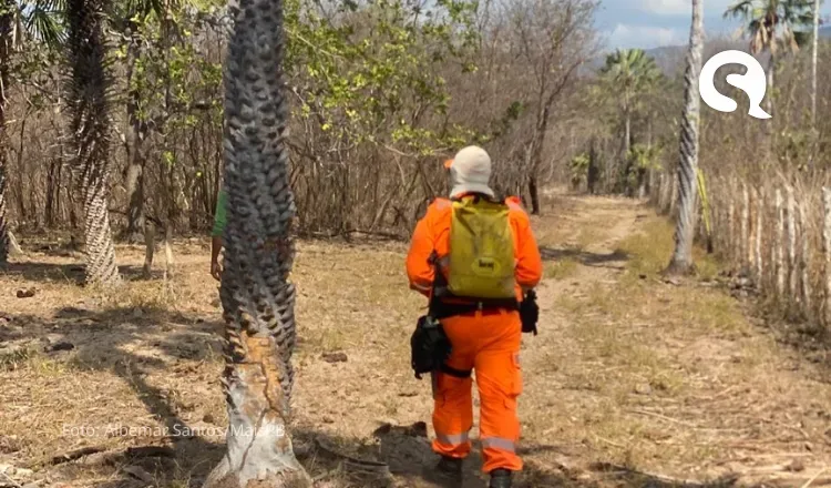 Corpo de Bombeiros combate incêndio florestal no município de Granja