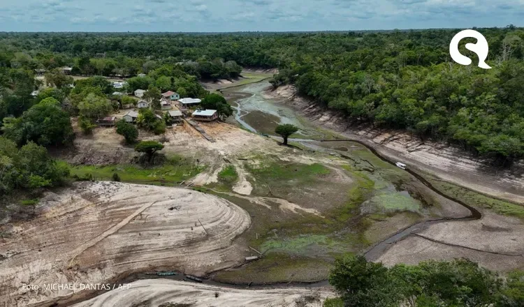 Desmatamento na Amazônia cai 30,6% e chega ao menor valor percentual em 15 anos