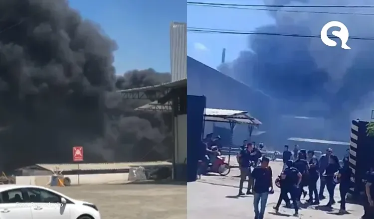 Incêndio em vegetação atinge fábrica Democrata de Sobral e funcionários deixam local às pressas
