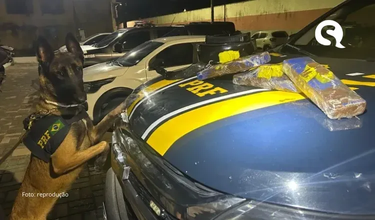 Mulher é presa pela PRF em ônibus levando tabletes de maconha para o interior do Ceará