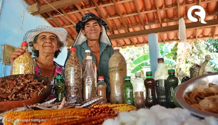 Em parceria com a Petrobras, CETRA e Diaconia lançam projeto Floresta de Alimentos em Itapipoca