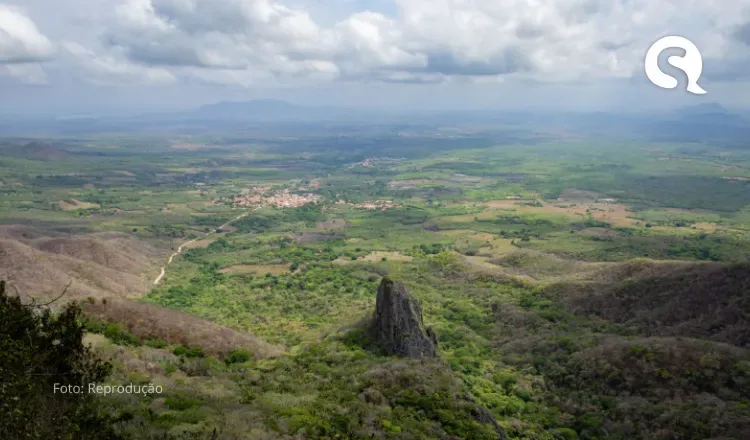 Ceará pode se tornar pioneiro na produção de pistache no Brasil, na Serra da Ibiapaba