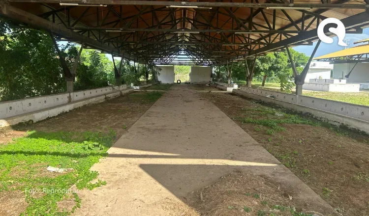 Parque de Exposição de Sobral passa por limpeza para a maior feira de agronegócios da região