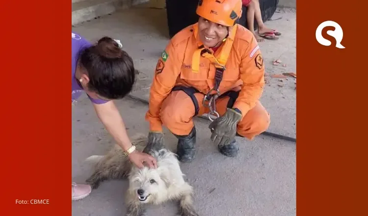 Bombeiros resgatam cachorro que caiu em barranco ao perseguir macacos em Viçosa do Ceará