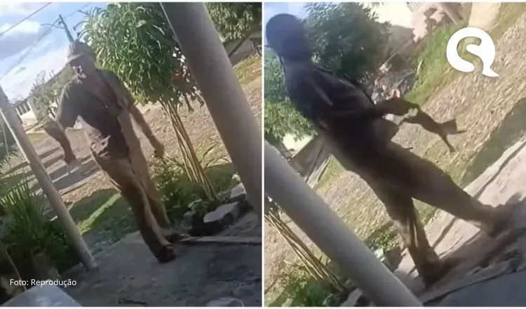 Homem é assassinado um dia após arremessar e matar gato no Ceará