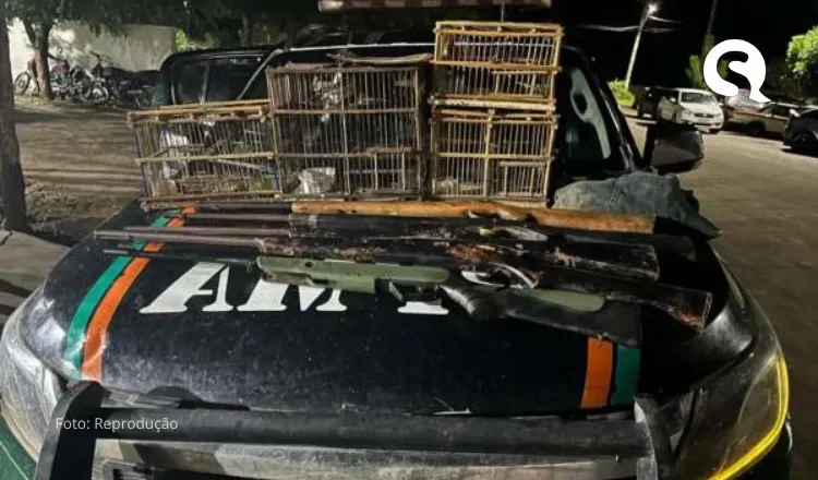 PMCE apreende cinco espingardas e aves silvestres em Ipueiras