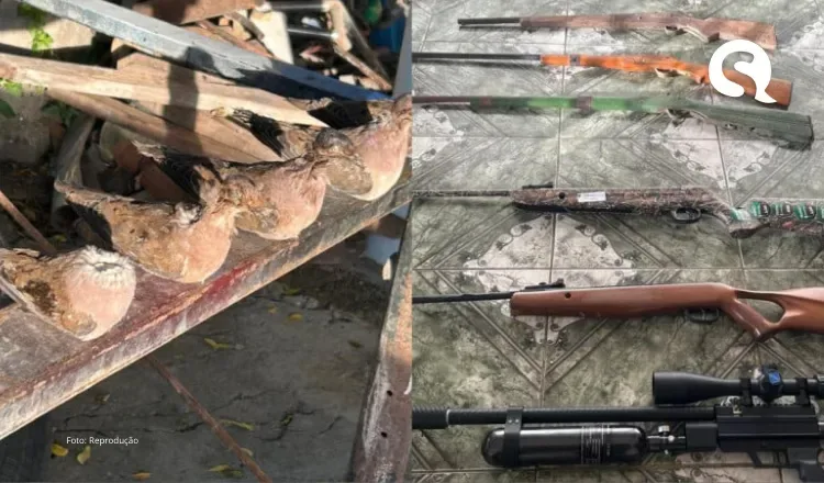Operação cumpre 11 mandados contra caça ilegal e apreende 48 animais em Massapê, Viçosa do Ceará e mais 3 municípios