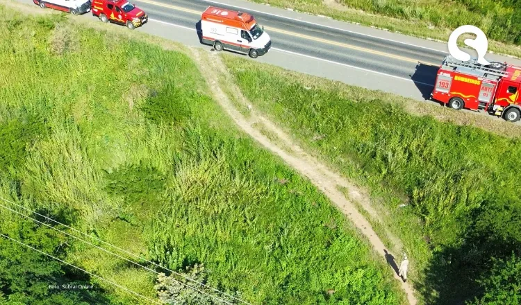 Homem morre após ser atacado por abelhas na zona rural de Sobral