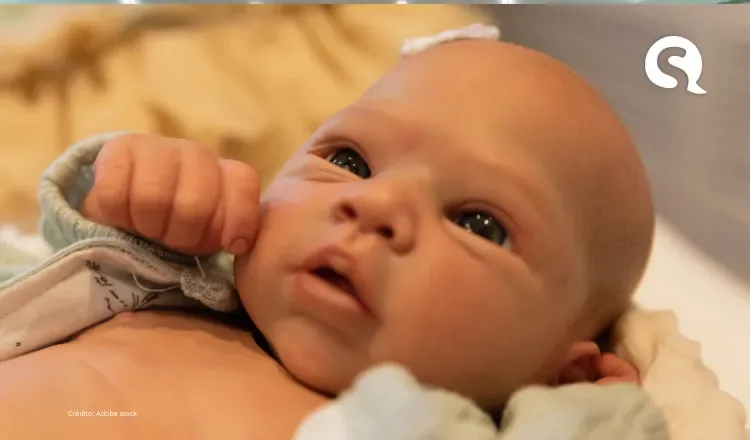 Projeto de lei propõe barrar atendimento de bebês reborn no SUS do Ceará