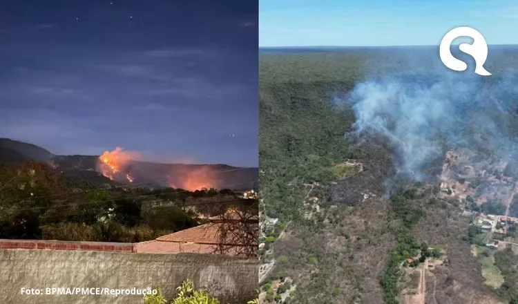 Idoso e adolescente são detidos suspeitos de incêndio criminoso na primeira floresta nacional do Brasil