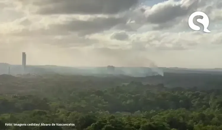 Incêndio atinge área de vegetação do Parque do Cocó