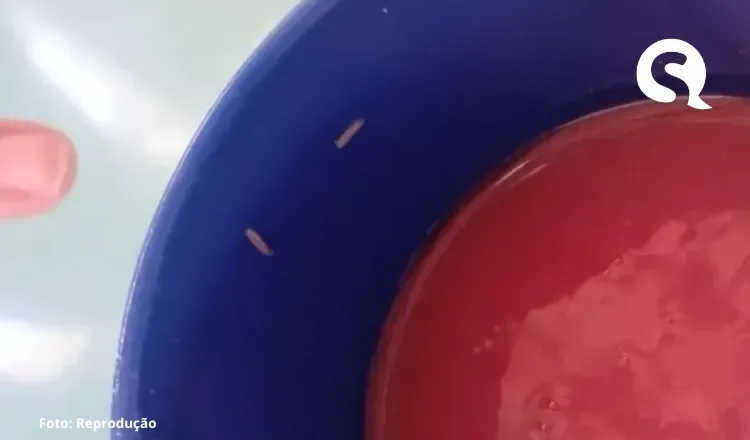 Estudantes encontram larvas e carne estragada na merenda de escola em Fortaleza