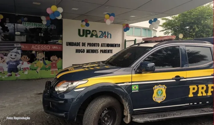 Caminhoneiro é socorrido em estado grave após ataque de abelhas em Sobral