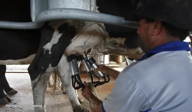 Ceará lidera crescimento na produção de leite do País nos últimos 10 anos