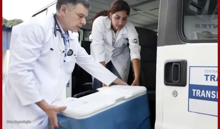 Brasil registra recorde de transplantes em 2025