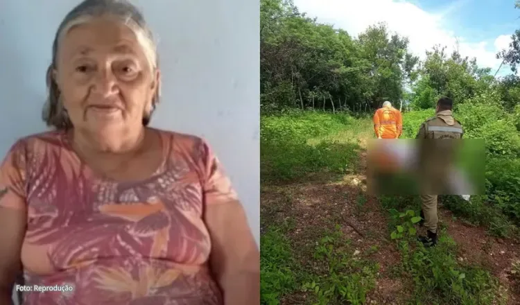 Idosa de 75 anos morre após ser atacada por enxame de abelhas no interior do Ceará
