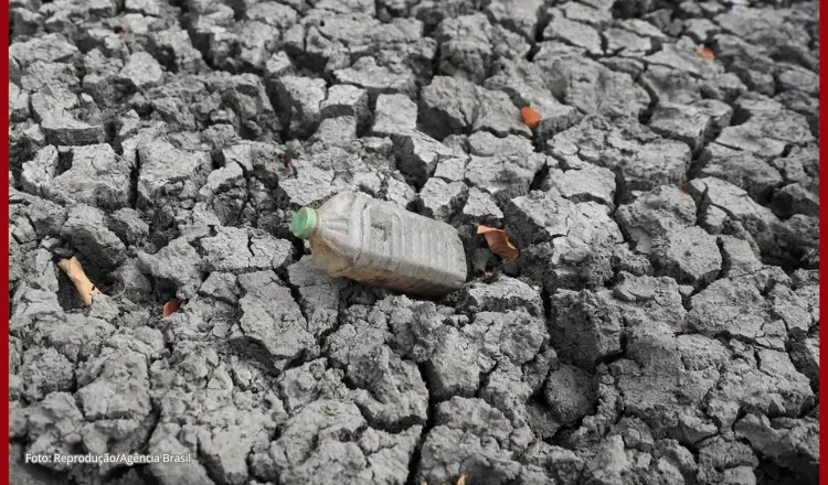 Mundo deve se preparar para calor extremo com novo El Niño, alerta ONU