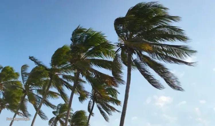 Ceará registra alerta de perigo para ventos fortes em 52 cidades