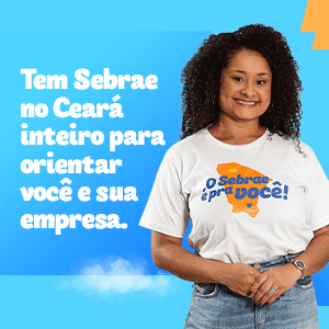 BANNER SEBRAE E PRA VC 300X300PX 2